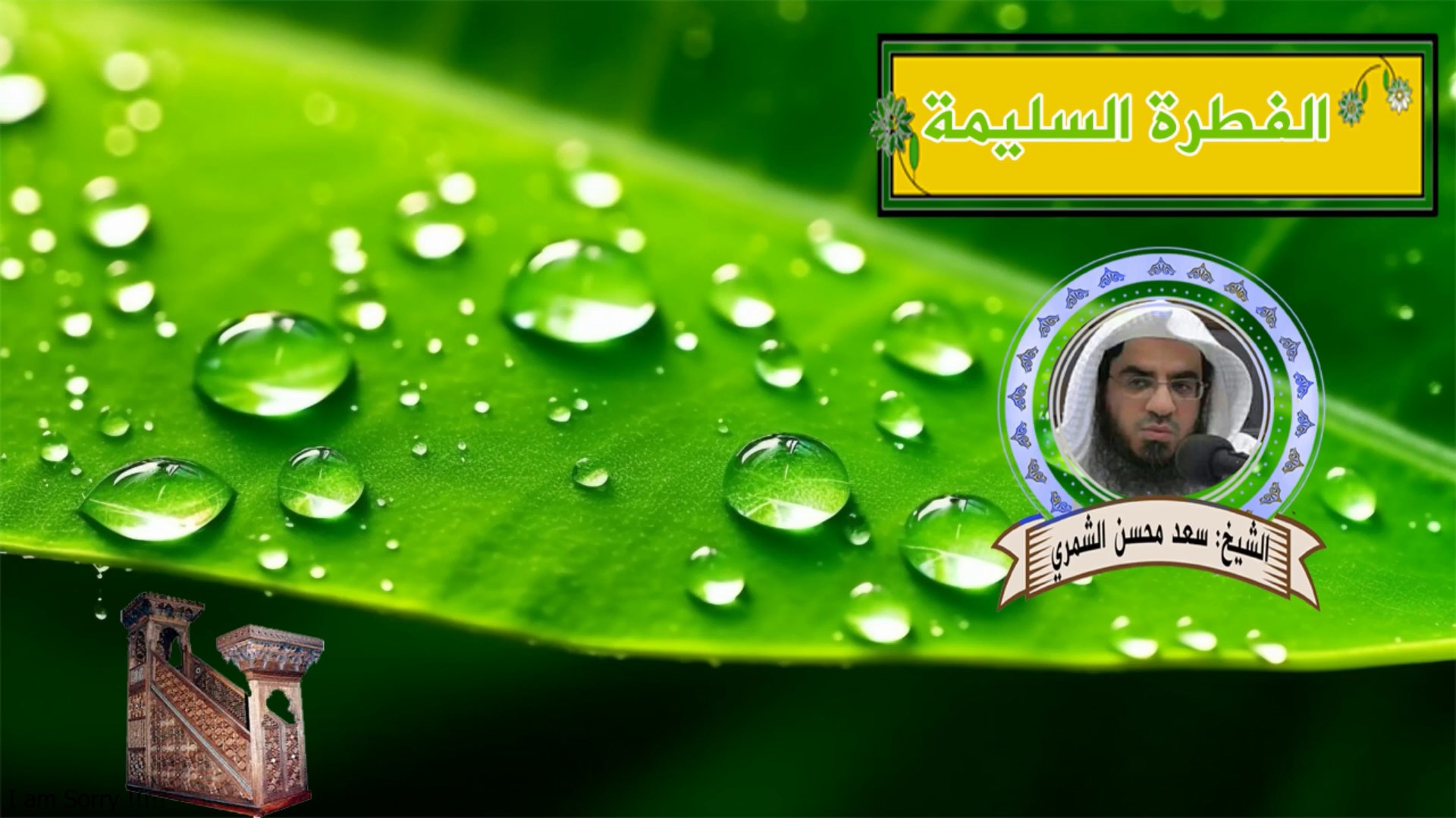 الفطرة السليمة